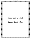 Ương nuôi cá chình hương lên cá giống