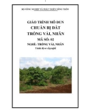 Giáo trình Chuẩn bị đất trồng vải, nhãn - MĐ02: Trồng vải, nhãn