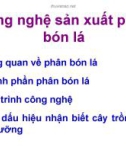 Bài giảng Công nghệ sản xuất phân bón lá