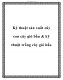 Kỹ thuật sản xuất cây con cây gió bầu & kỹ thuật trồng cây gió bầu