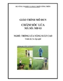 Giáo trình Chăm sóc lúa - MĐ03: Trồng lúa năng suất cao