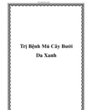 Trị Bệnh Mủ Cây Bưởi Da Xanh