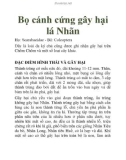 Bọ cánh cứng gây hại lá Nhãn