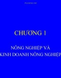 Bài giảng Quản trị kinh doanh nông nghiệp - Chương 1: Nông nghiệp và kinh doanh nông nghiệp