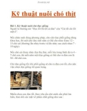 Kỹ thuật nuôi chó thịt