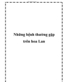 Những bệnh thường gặp trên hoa Lan