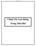 Chăm Sóc Lợn Rừng Trong Mùa Rét