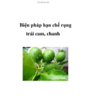 Biện pháp hạn chế rụng trái cam, chanh