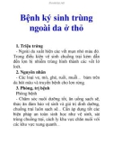 Bệnh ký sinh trùng ngoài da ở thỏ