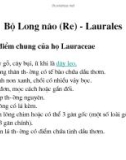 Giáo trình cây rừng part 2