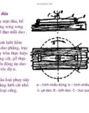 Bài giảng nguyên lý cắt gọt gỗ : Nguyên lý và công cụ phay part 3