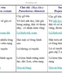 Giáo trình cây rừng part 5