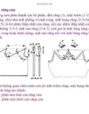 Bài giảng nguyên lý cắt gọt gỗ : Nguyên lý và công cụ xẻ gỗ part 2