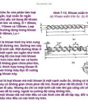 Bài giảng nguyên lý cắt gọt gỗ : Nguyên lý và công cụ khoan gỗ part 3