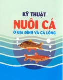 Hướng dẫn nuôi Cá ở gia đình và cá lồng