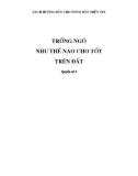 Trồng ngô như thế nào cho tốt trên đất - Quyển số III