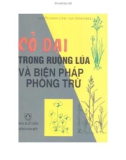 Biện pháp phòng trừ Cỏ dại trong ruộng lúa