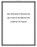 Quy trình quản lý tổng hợp rệp sáp và một số sâu bệnh hại trên cà phê tại Tây Nguyên