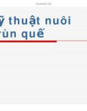 Kỹ thuật nuôi Trùn quế - Phần I