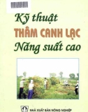 Thâm canh lạc cho năng suất cao với kỹ thuật nào?: Phần 1