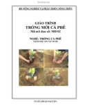 Giáo trình Trồng mới cà phê - MĐ02: Trồng cà phê