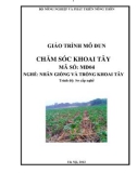 Giáo trình Chăm sóc khoai tây - MĐ04: Nhân giống và trồng khoai tây