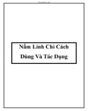 Nấm Linh Chi Cách Dùng Và Tác Dụng