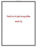 Nuôi cá rô phi trong đầm nước lợ