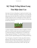 Kỹ Thuật Trồng Khoai Lang Tím Hiệu Quả Cao