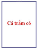 Cách nuôi cá trắm cỏ