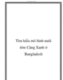 Tìm hiểu mô hình nuôi tôm Càng Xanh ở Bangladesh