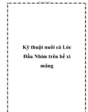 Kỹ thuật nuôi cá Lóc Đầu Nhím trên bể xi măng