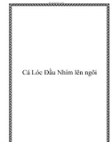 Cá Lóc Đầu Nhím lên ngôi