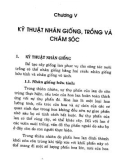 Kỹ thuật nuôi trồng và kinh doang Hoa lan: Phần 2