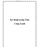 Kỹ thuật ương Tôm Càng Xanh