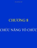 Bài giảng Quản trị kinh doanh nông nghiệp - Chương 8: Chức năng tổ chức