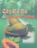 Cây đu đủ và kĩ thuật trồng