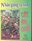 Phương pháp Nhân giống vô tính cây ăn quả