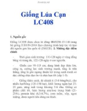 Giống Lúa Cạn LC408