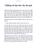 Chống rét hại cho cây ăn quả