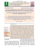 Genotypic and phenotypic correlation and path analysis of yield and yield contributing traits in rice (Oryza sativa L.) under salinity condition