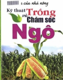 Cẩm nang trồng và chăm sóc ngô