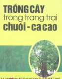 Trồng cây trong trang trại – Chuối, cacao