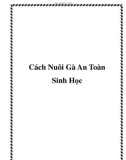 Cách Nuôi Gà An Toàn Sinh Học