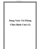 Dùng Nước Tỏi Phòng Chữa Bệnh Cúm Gà