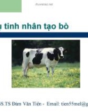 Bài giảng Thụ tinh nhân tạo bò - PGS.TS. Đàm Văn Tiện