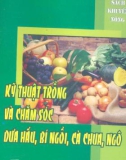 Hướng dẫn chăm sóc cà chua, ngô, dưa hấu và bí ngồi