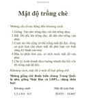 Mật độ trồng chè