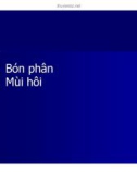 Bài giảng Quản lý môi trường ao nuôi thủy sản - Chương 6b: Bón phân và mùi hôi