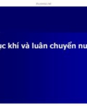 Bài giảng Quản lý môi trường ao nuôi thủy sản - Chương 6c: Sục khí và luân chuyển nước